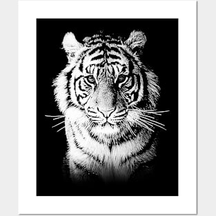 Tiger Posters and Art